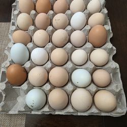 Fresh Farm Eggs