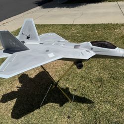 F22 Raptor 90mm. FREEWING