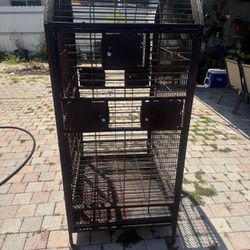 Big Bird Cage 
