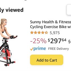 Sunny Fitness Bike