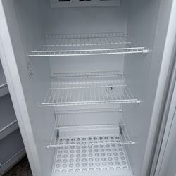 Stand Up Freezer