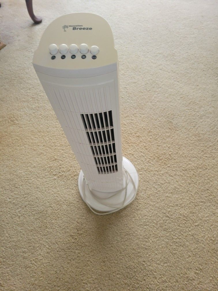 Fan