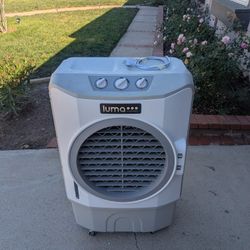 Luma Comfort Swamp Coller