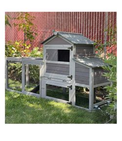 Chicken Cage