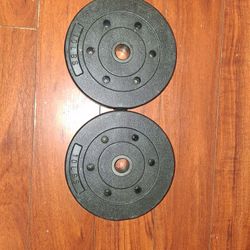 10 Pound Weights 