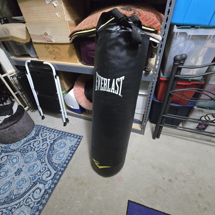 Everlast Heavy Bag