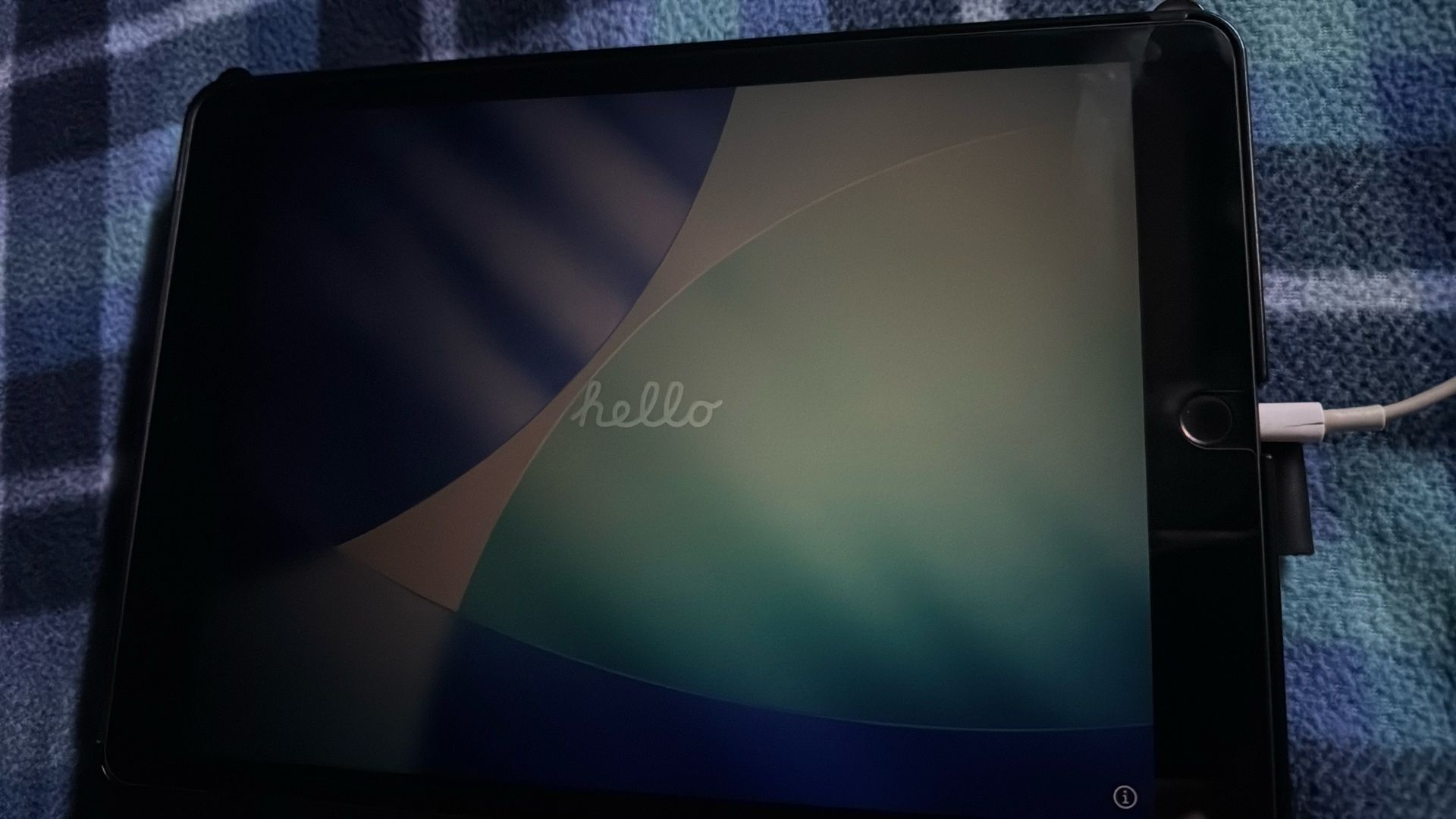 iPad 9th generation 256gb with wifi