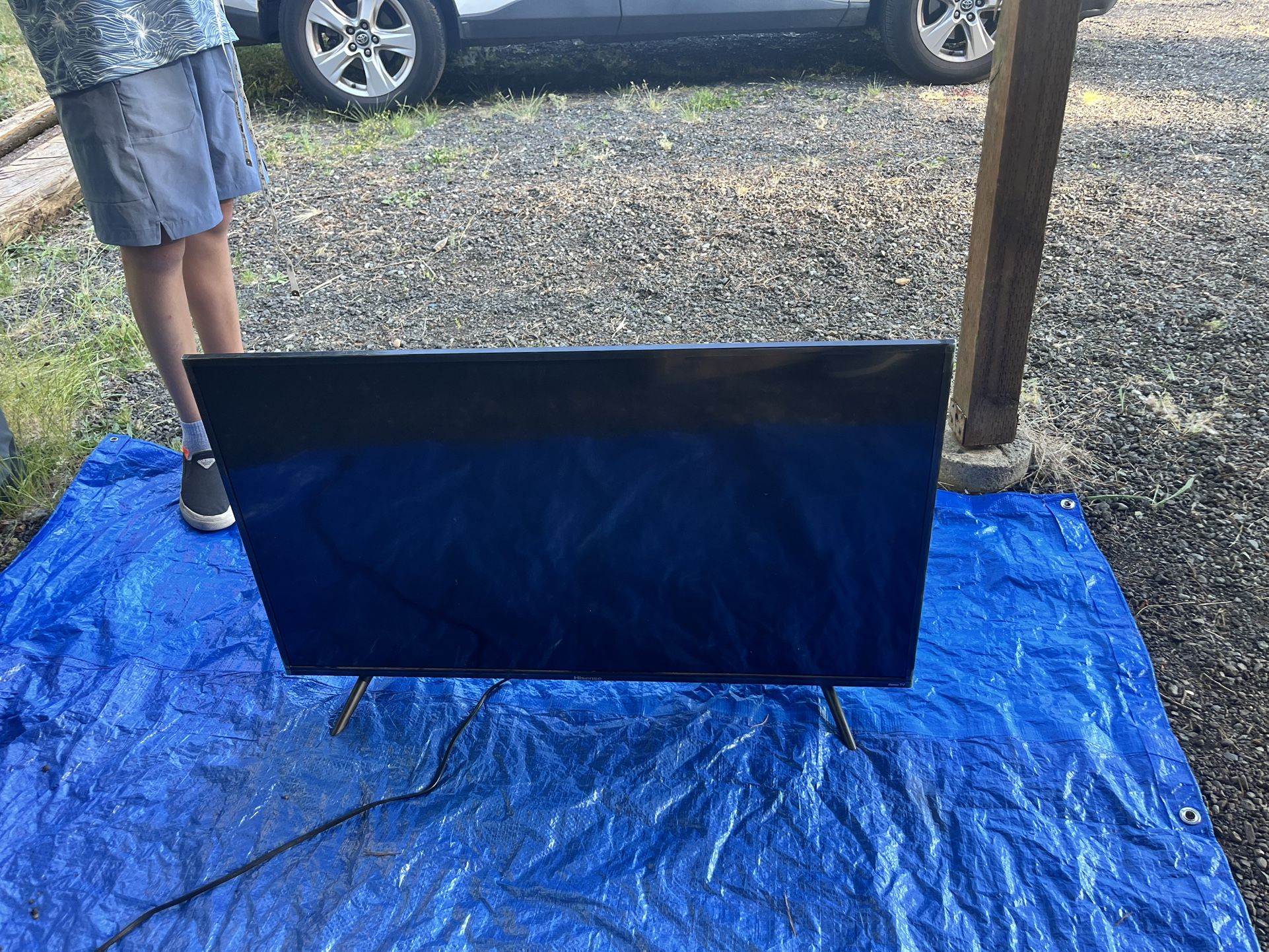 TV Or Computer Monitor — Huge!