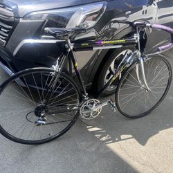 1990 Specialized allez Epic