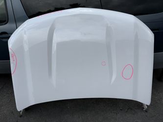 2019-2025 Chevy Silverado 1500 Hood