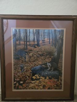 Raccoon Print for Raccoon Lovers