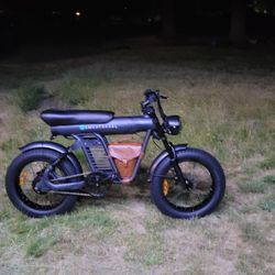 Electric Bike