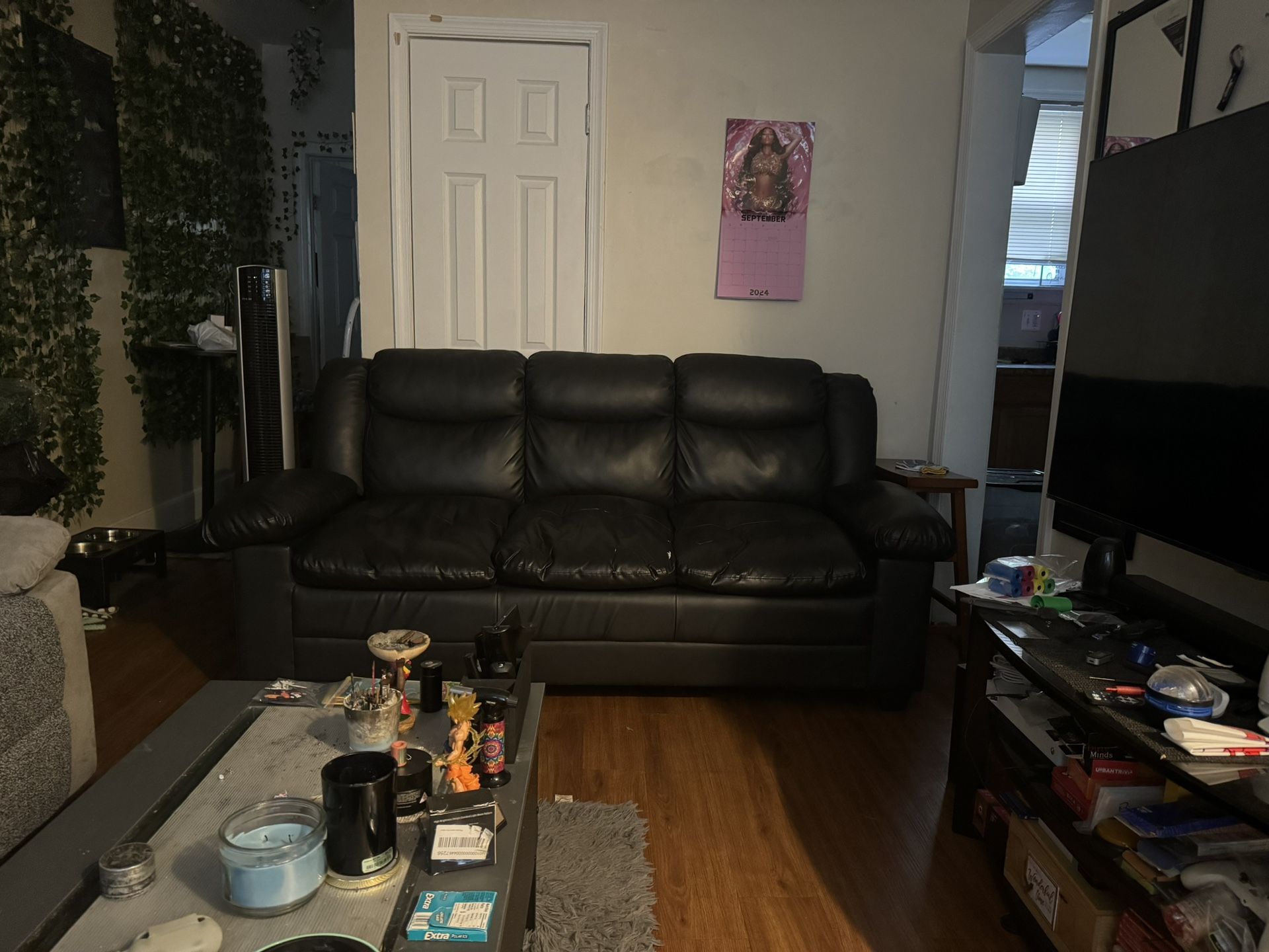 Sofa and love Seat