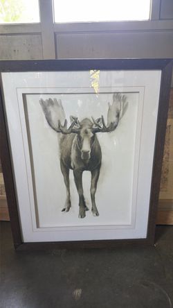 🫎 Mercana “Majestic Wildlife I” Moose Artwork | $225