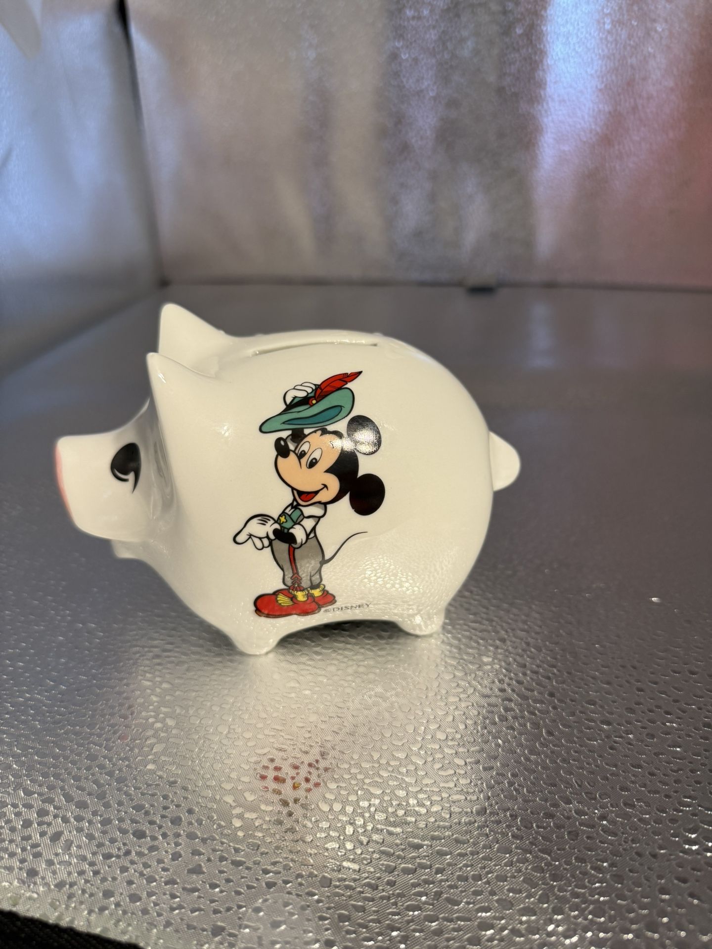 Pig Piggy Bank