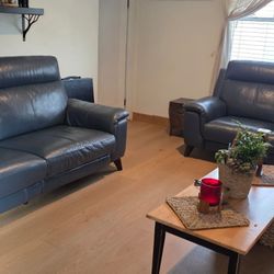 Moana Blue Leather Dual Power Reclining  With Usb.