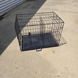 Big kennel