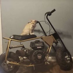 Coleman Pitbike With Predator 212cc Motor