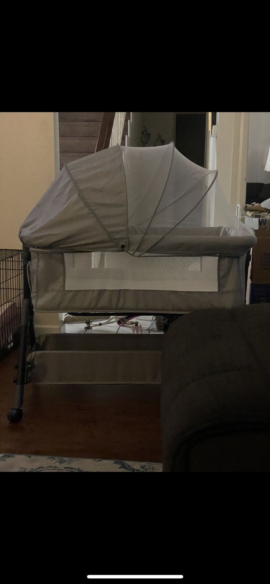 Bassinet