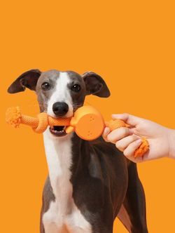 Playful Charm Knot Rope Toy