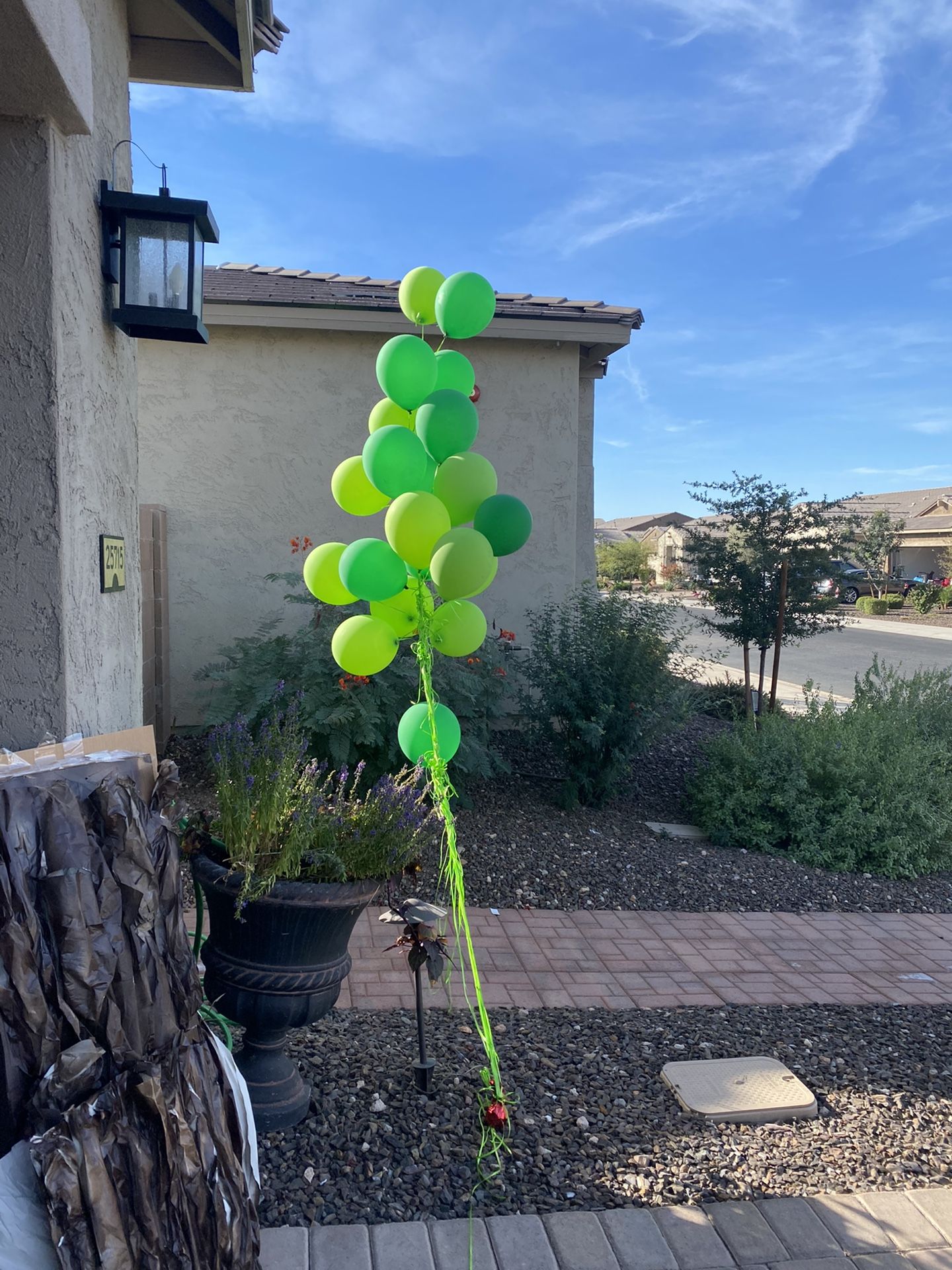 Free helium Green Balloons - Purchased Yesterday