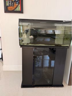 Fluval Bowfront Aquarium + Stand — Large Setup