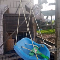 Baby Swing Used