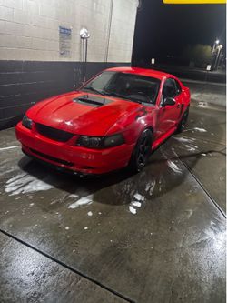 2000 Ford Mustang