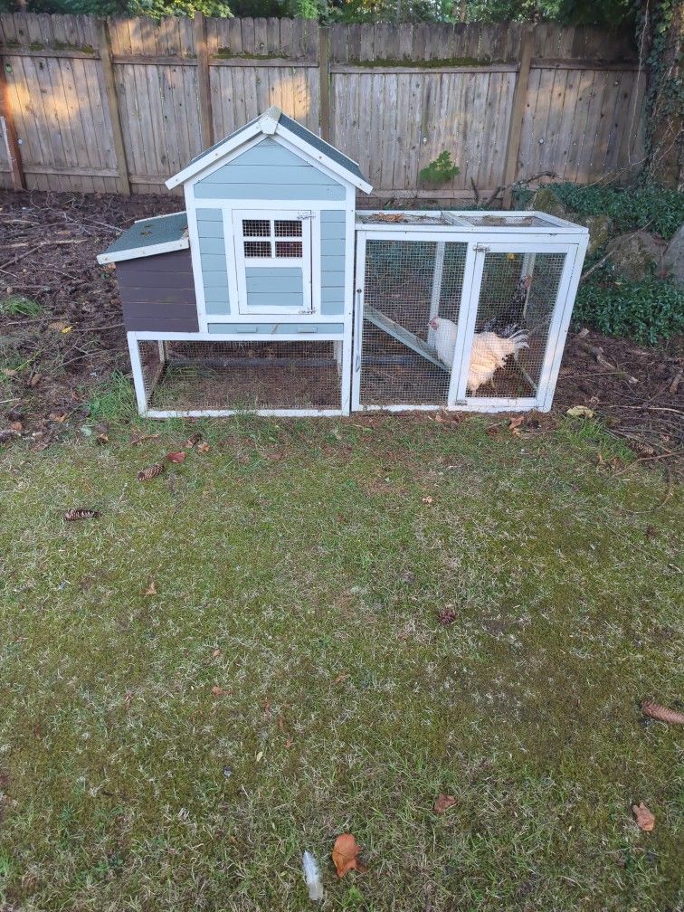 Small Chicken Coupe