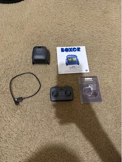 Boxer robot