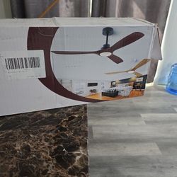 Large Remote Ceiling Fan