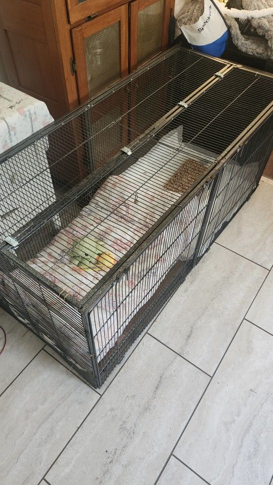 Bird Cage/dog Kennel