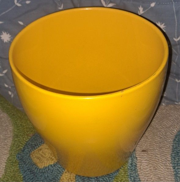 Columbo Yellow Flower Pot Germany