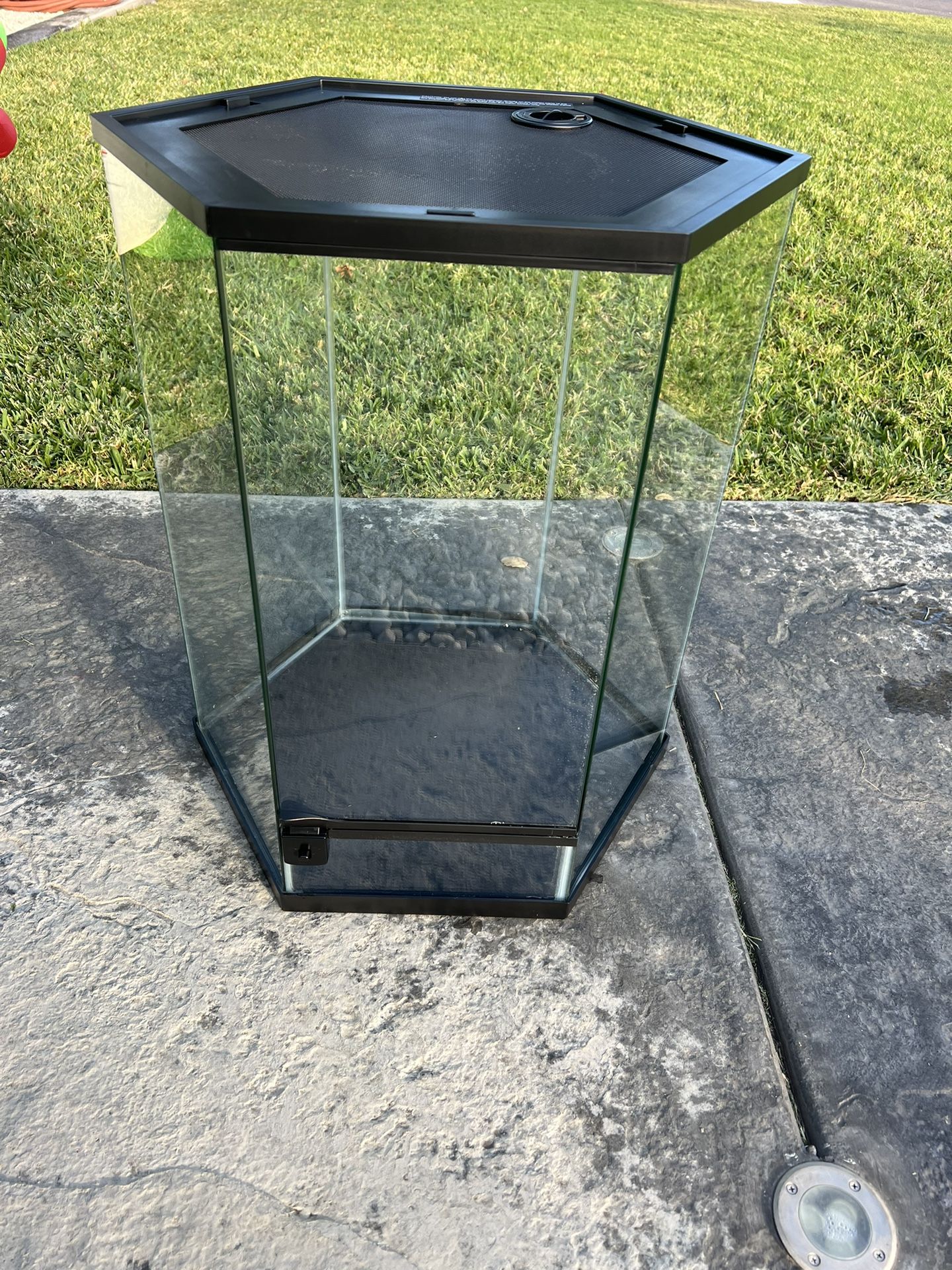 Lizard Tank Terrarium