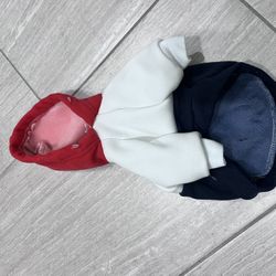 Dog Hoodie