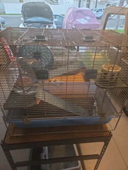 Hamster cage