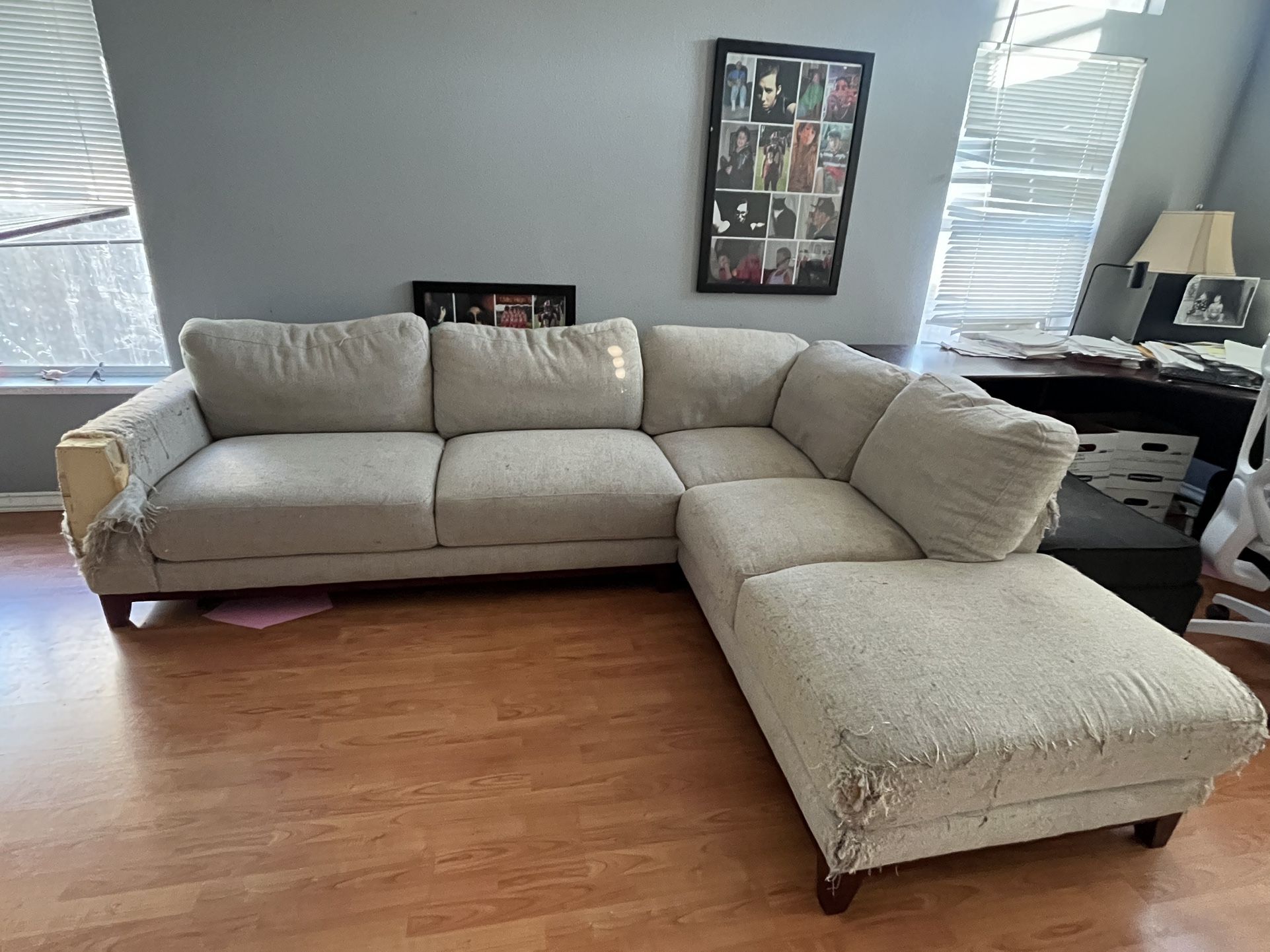 Free L Shaped Couch, Cats Damaged