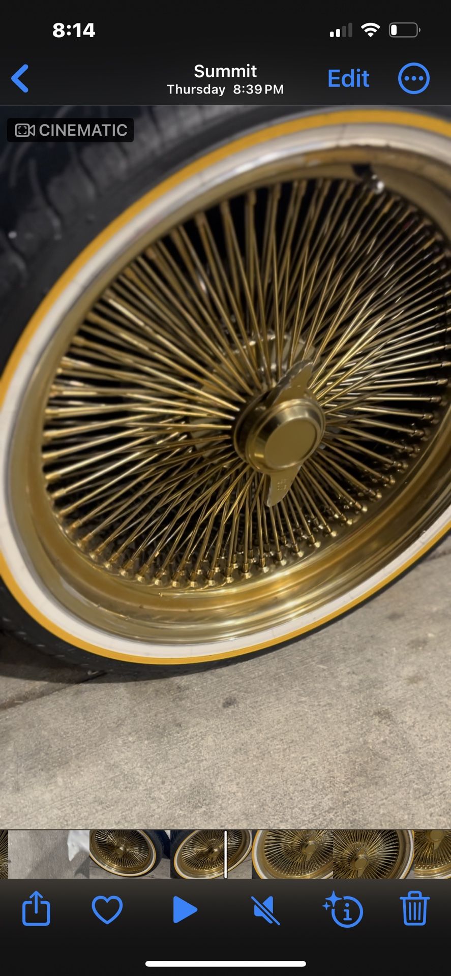 22” Triple Gold Dayton’s 