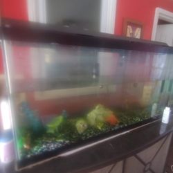 55 Gallon Fish Aquarium