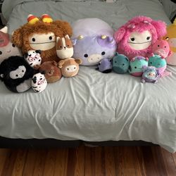 Squishmallow Lot