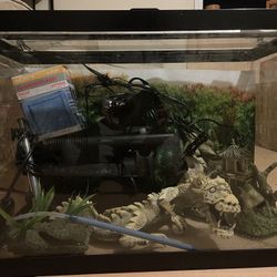 20 Gallon Complete Aquarium Set Up 