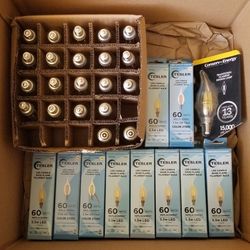 Candelabras LED Bulbs