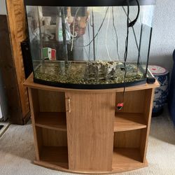 Aquarium Curve Glass 60 Gal + Furniture 