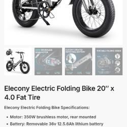 Fat Tire E-bike