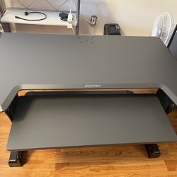Ergotron Standing Desk Converter
