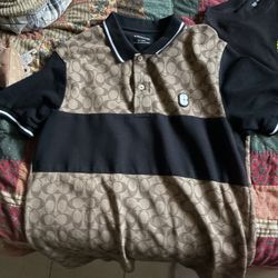 Coach Polo 