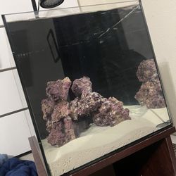 15 Gallon Tank With Rock And Sand 