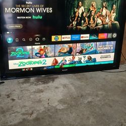 60" TV