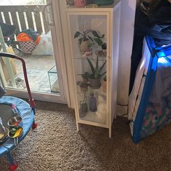 Display Case