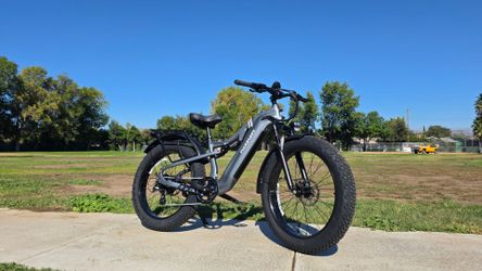 Puckipuppy Labrador Pro Fat Tires Mountain Electric Bike